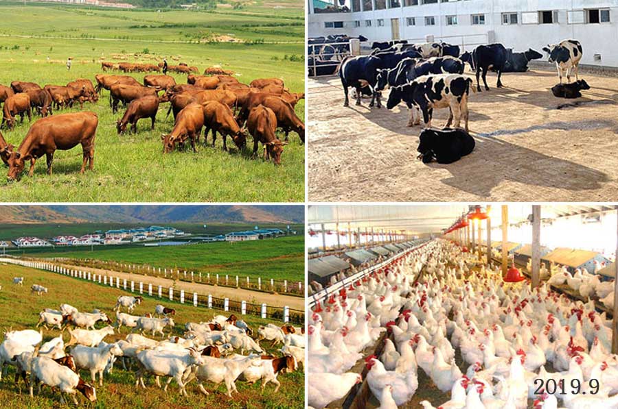 15-자력자강의 창조물 (2)